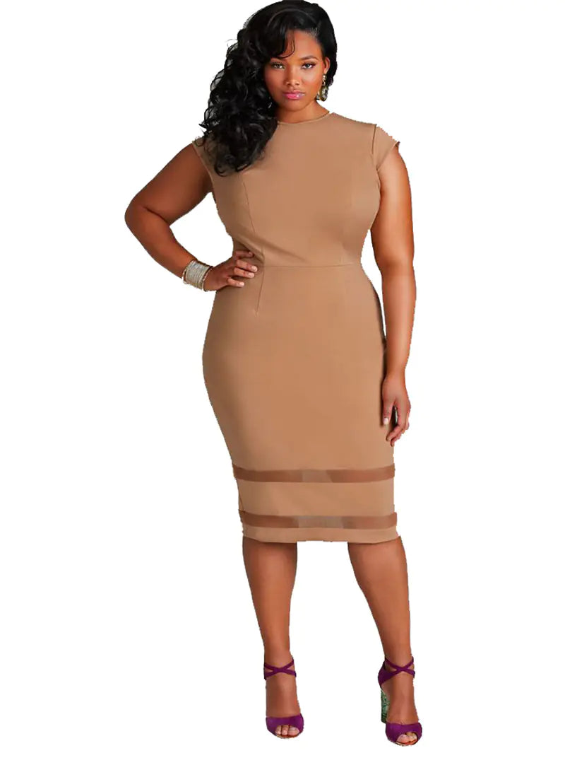 Curvy Elegance Mesh Dress