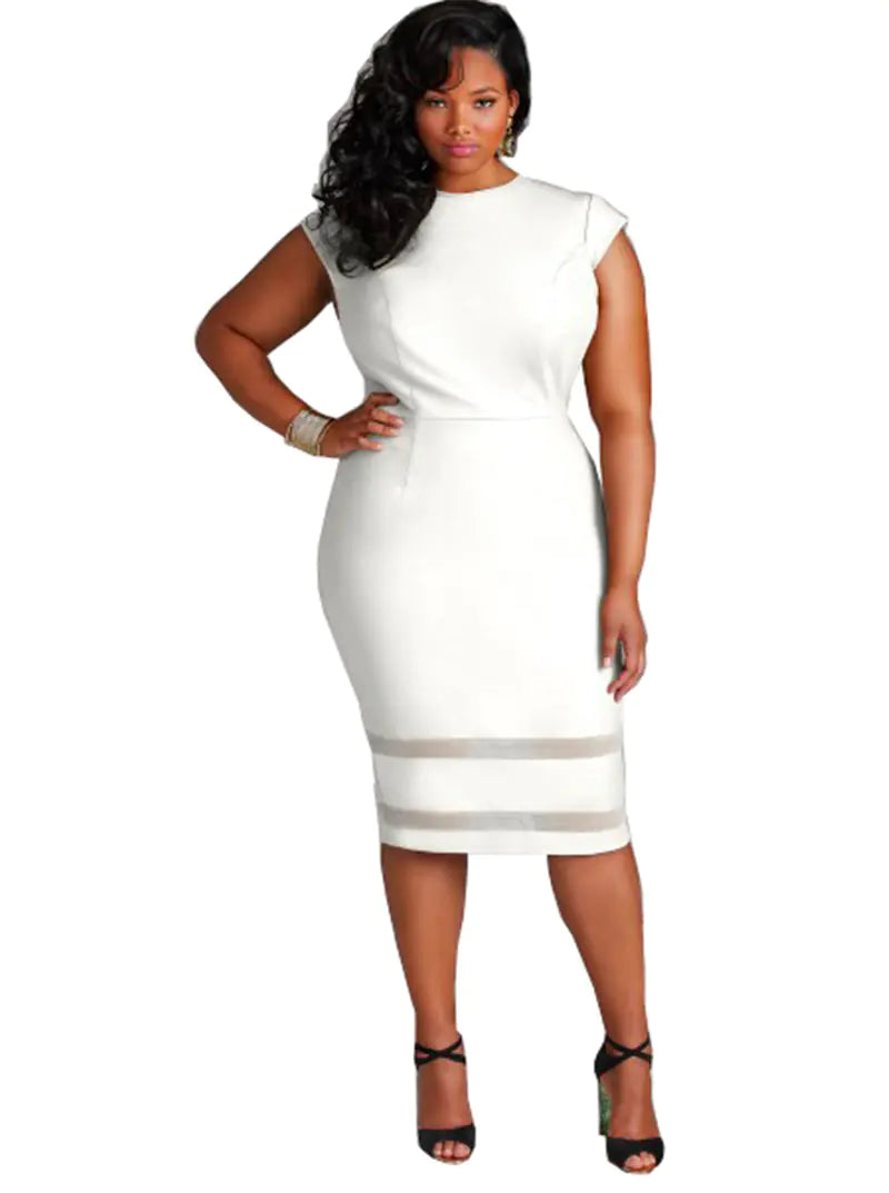 Curvy Elegance Mesh Dress