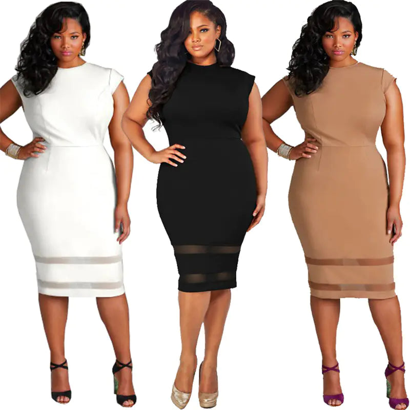 Curvy Elegance Mesh Dress