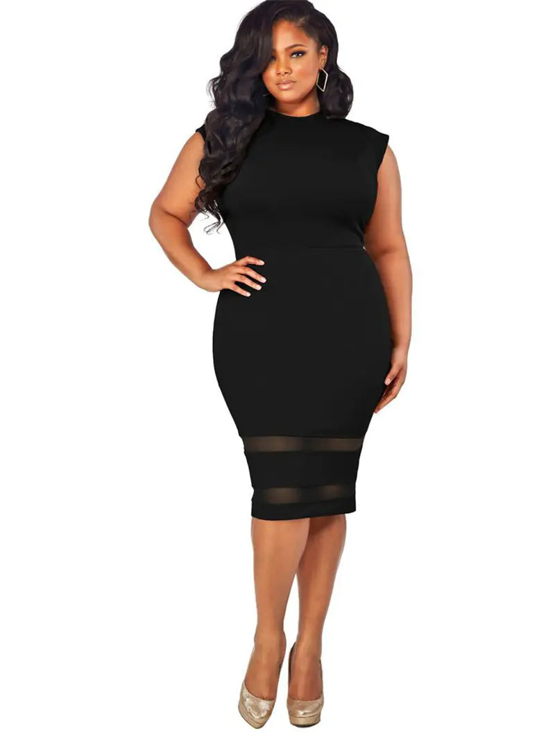 Curvy Elegance Mesh Dress