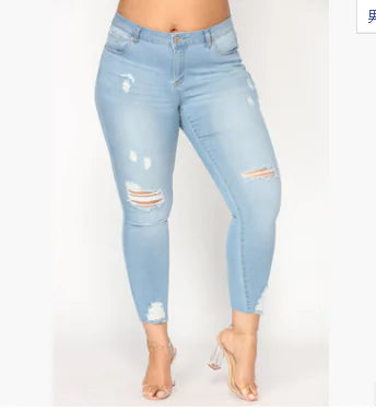Curvy Chic Denim Jeans