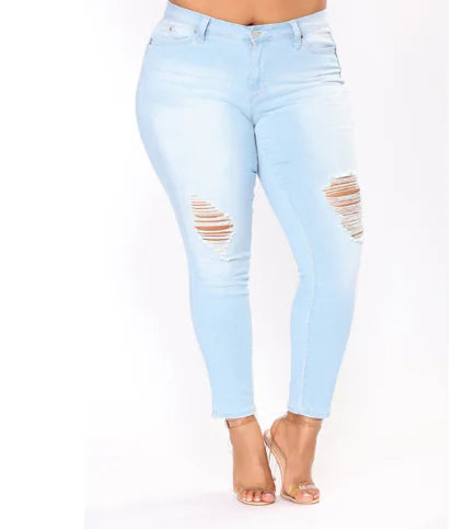 Curvy Chic Denim Jeans