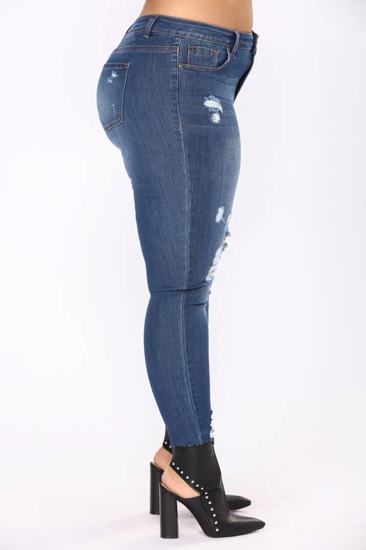 Curvy Chic Denim Jeans